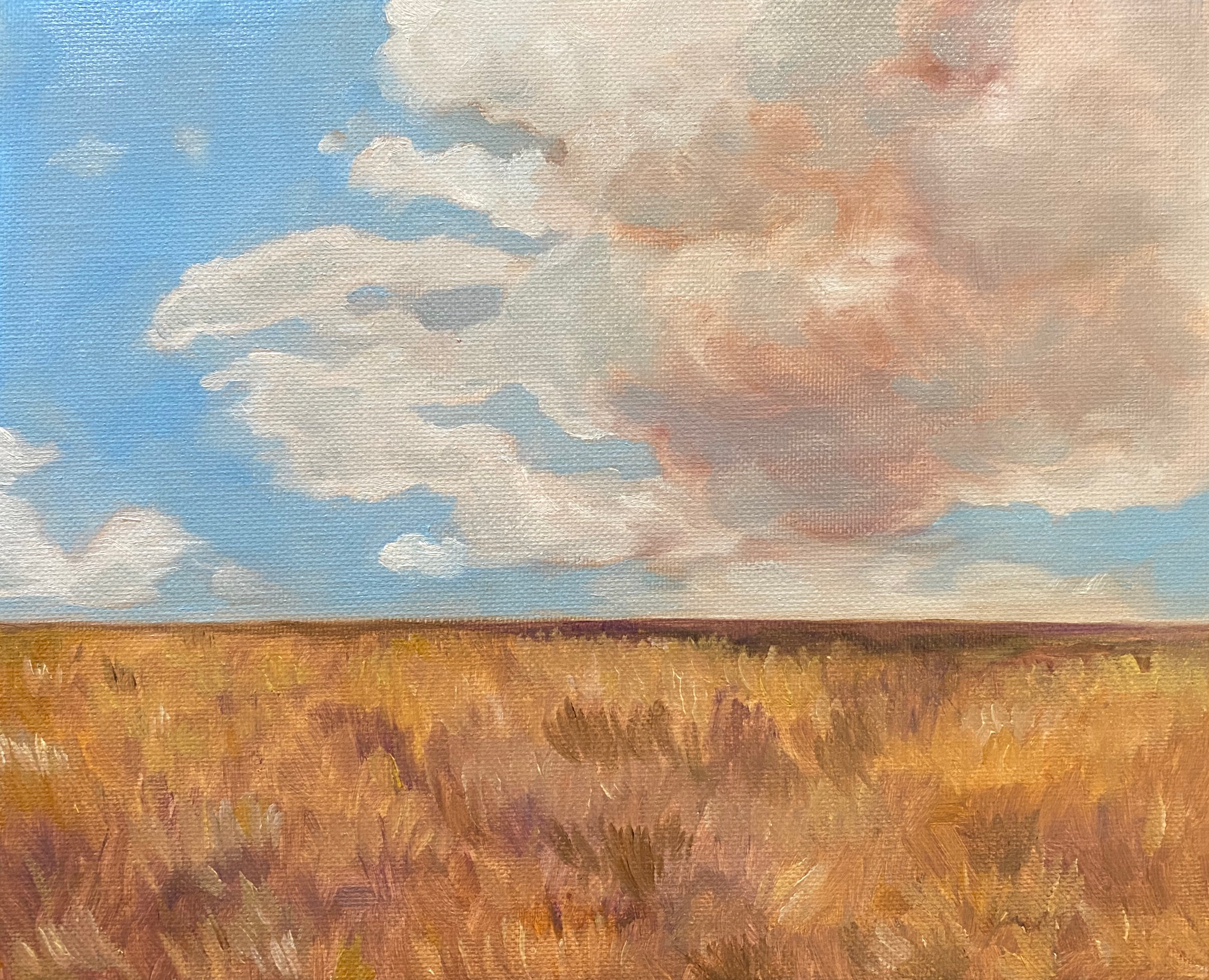 Golden Field