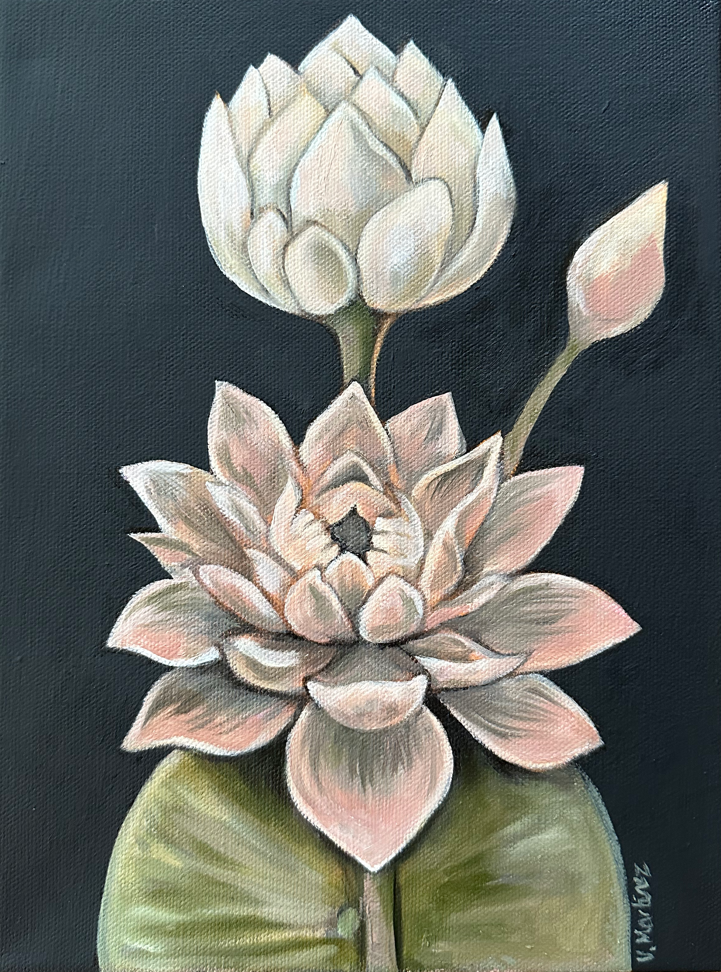 Moody Lotus