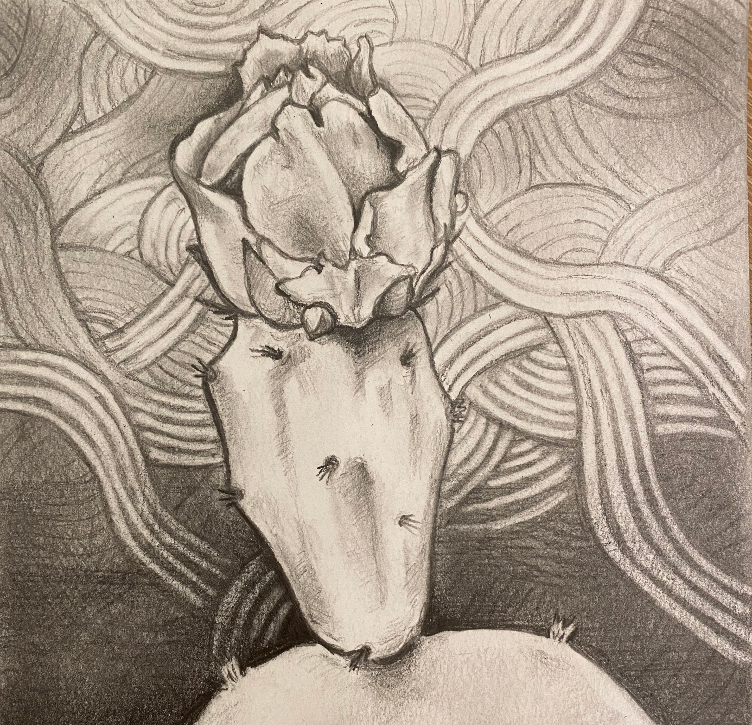Cactus
