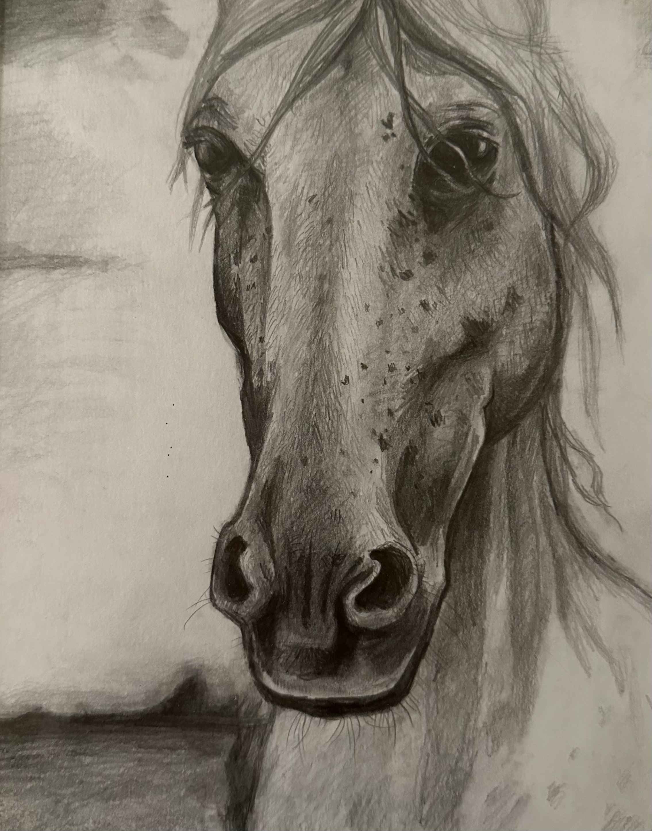 Horse