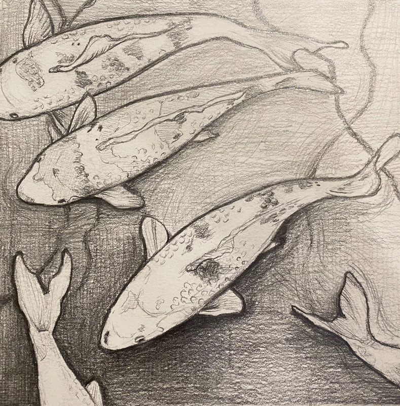 Koi