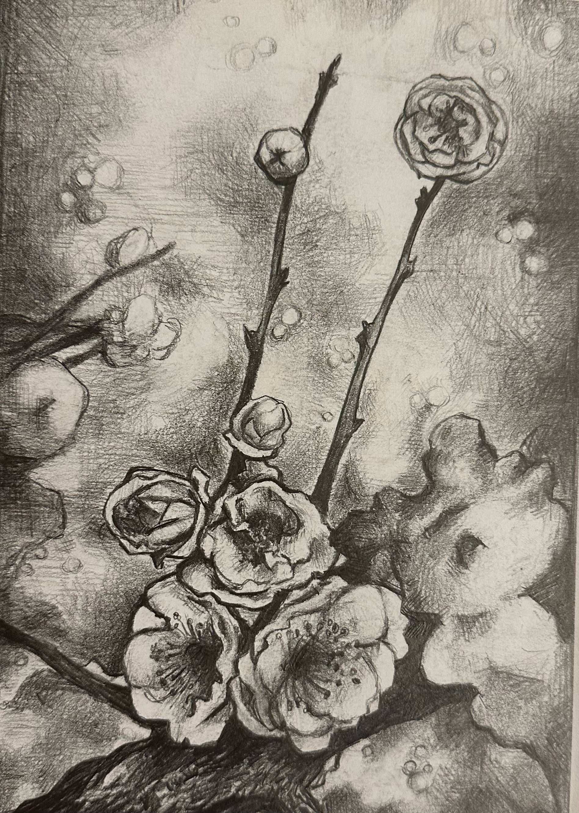Floral